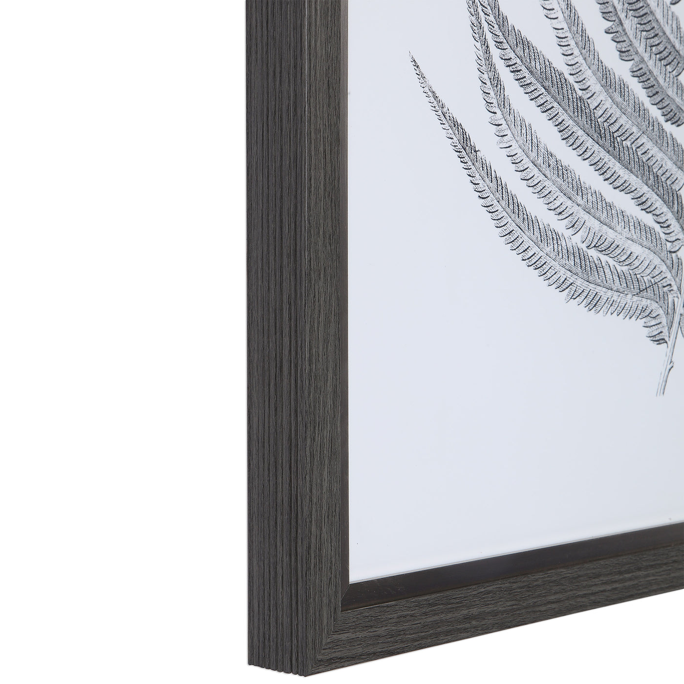 Uttermost Silver Ferns Framed Prints Set/2