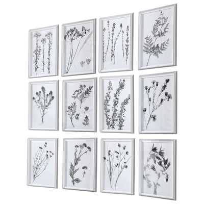 Uttermost Contemporary Botanicals Framed Prints, S/12