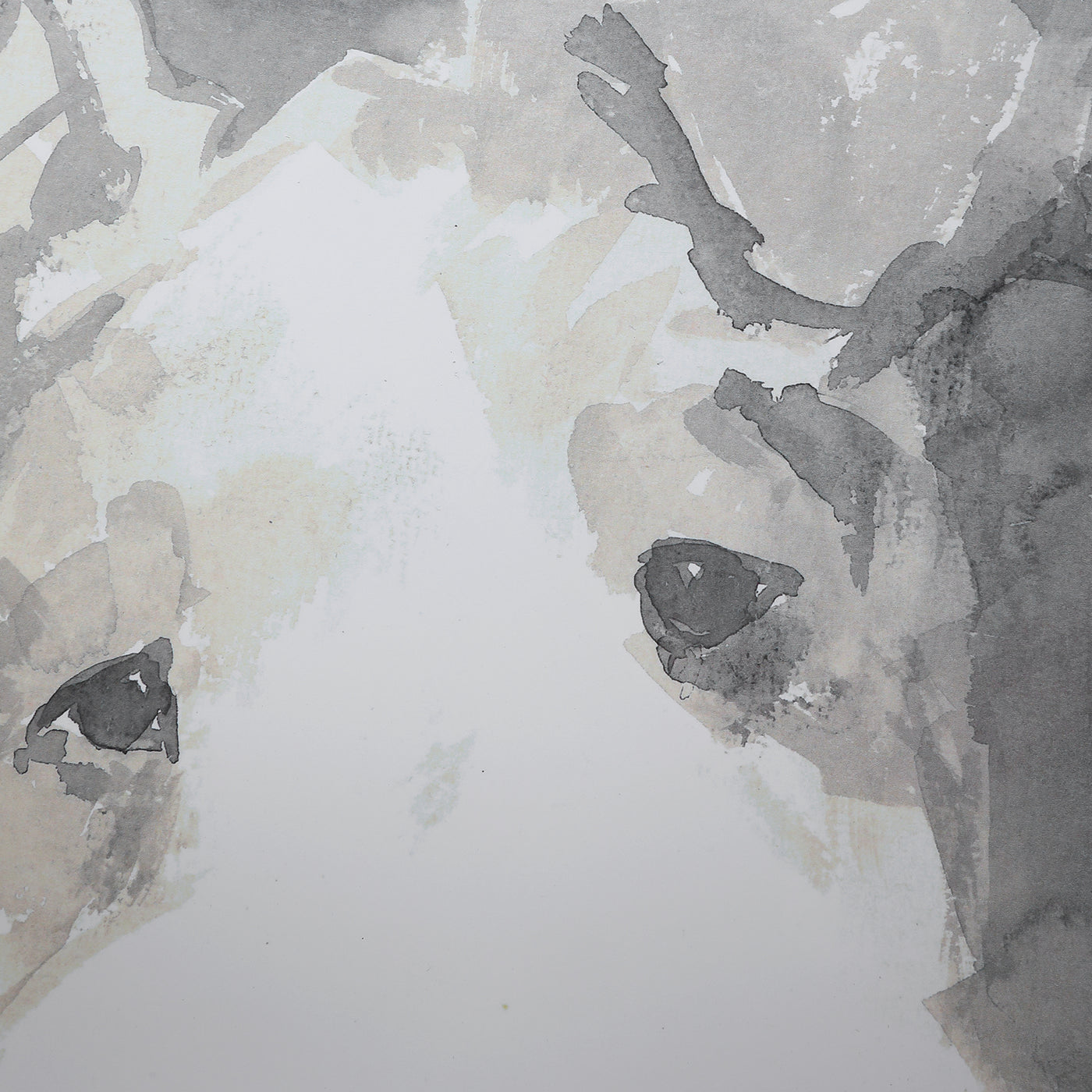 Uttermost Modern Dogs Framed Prints, S/4