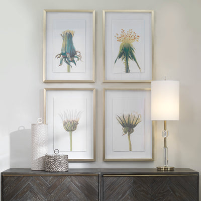 Uttermost Wildflowers Gold Framed Prints, S/4