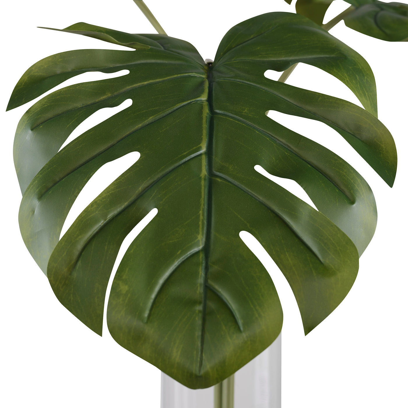 Uttermost Ibero Split Leaf Palm