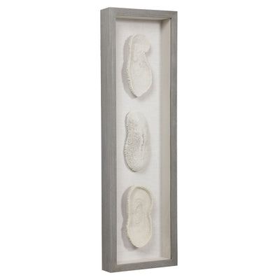 Uttermost White Coral Shadow Box