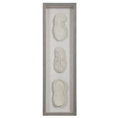 Uttermost White Coral Shadow Box
