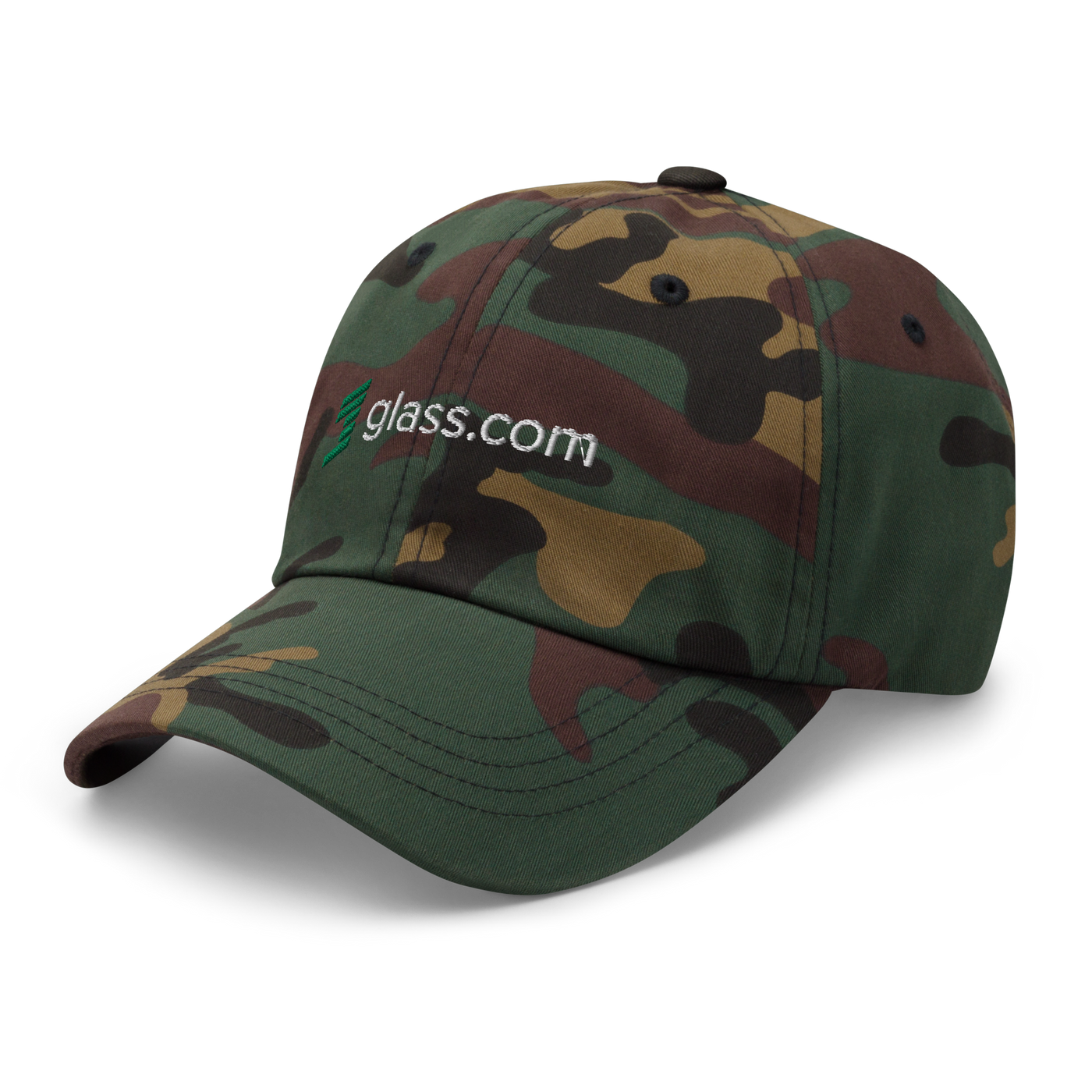 Glass.com Baseball Hat